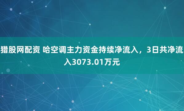 猎股网配资 哈空调主力资金持续净流入，3日共净流入3073.01万元