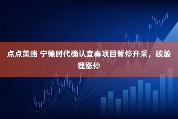 点点策略 宁德时代确认宜春项目暂停开采，碳酸锂涨停