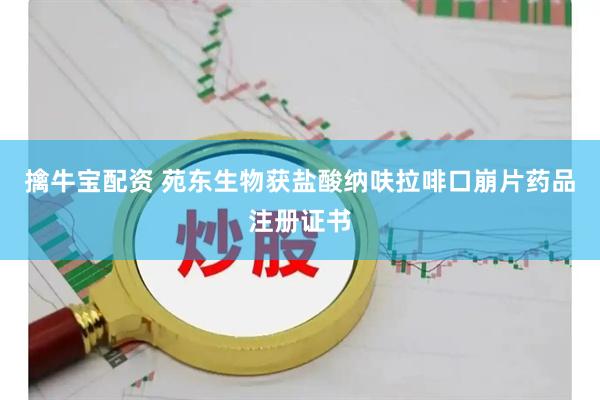 擒牛宝配资 苑东生物获盐酸纳呋拉啡口崩片药品注册证书