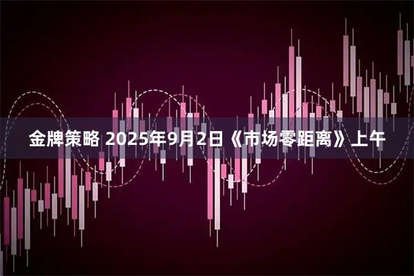 金牌策略 2025年9月2日《市场零距离》上午