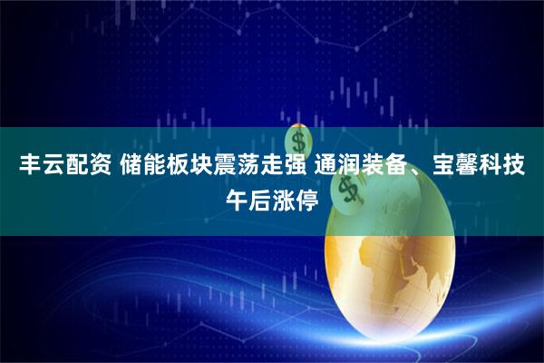 丰云配资 储能板块震荡走强 通润装备、宝馨科技午后涨停