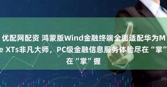 优配网配资 鸿蒙版Wind金融终端全面适配华为Mate XTs非凡大师，PC级金融信息服务体验尽在“掌”握