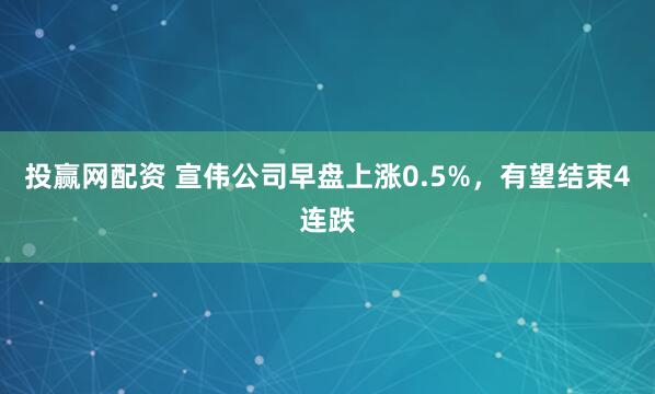 投赢网配资 宣伟公司早盘上涨0.5%，有望结束4连跌