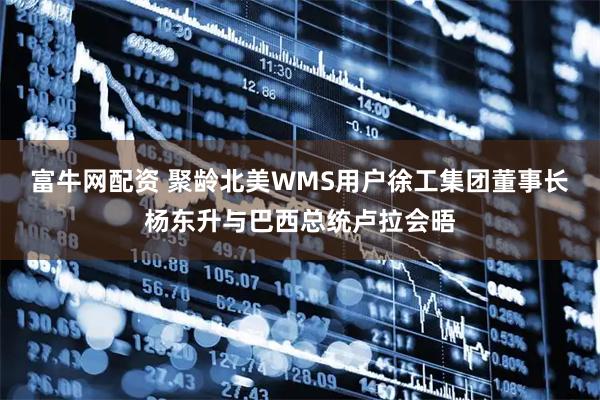 富牛网配资 聚龄北美WMS用户徐工集团董事长杨东升与巴西总统卢拉会晤