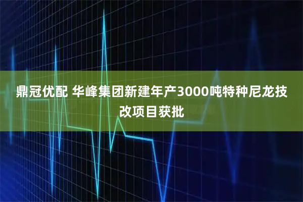 鼎冠优配 华峰集团新建年产3000吨特种尼龙技改项目获批